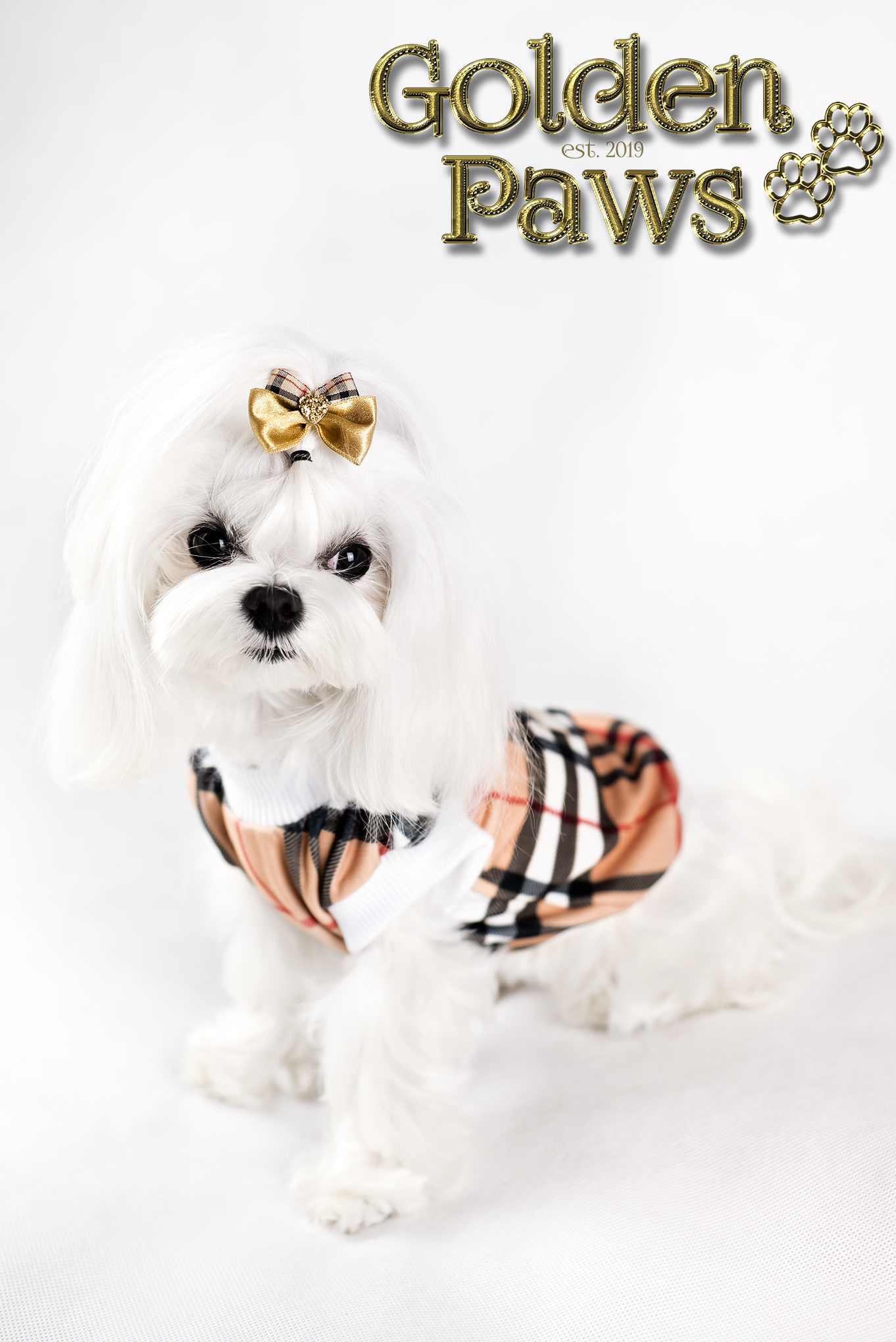 DSC_3257
