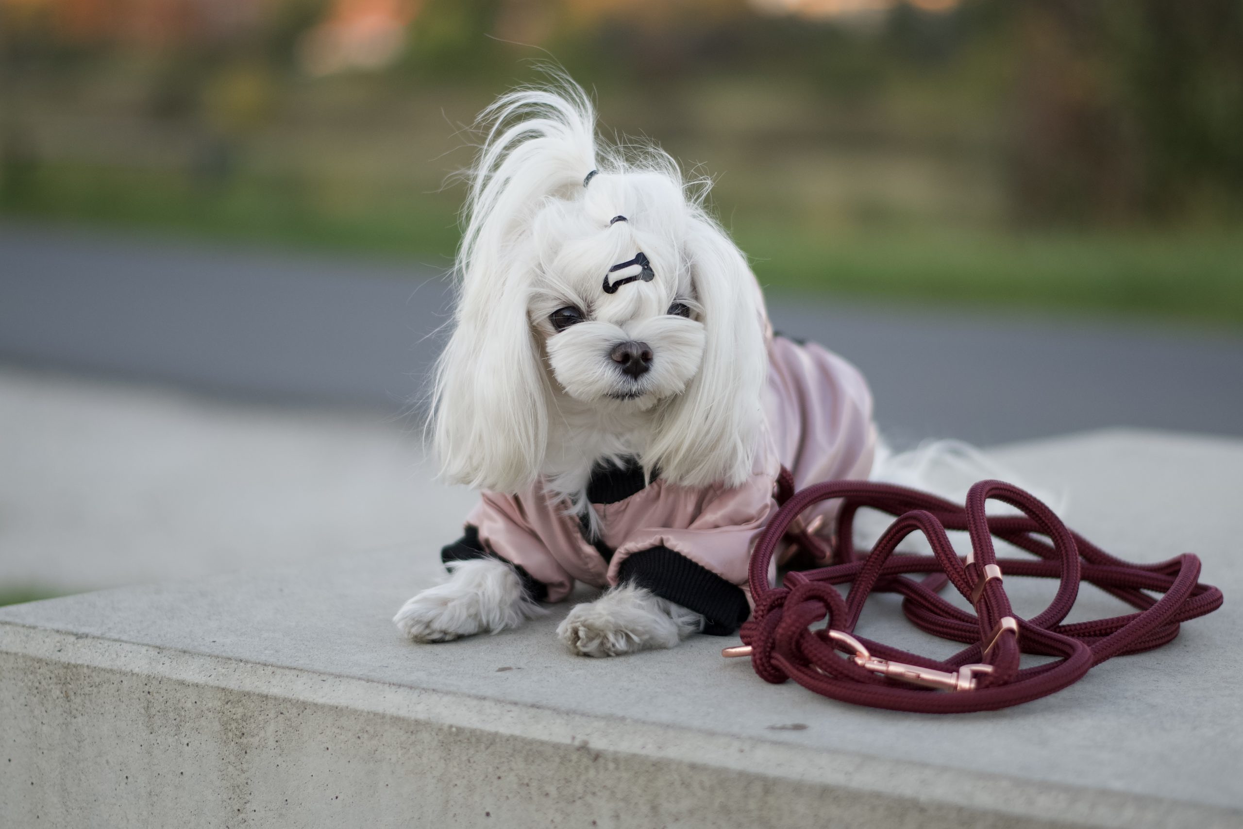 image00049