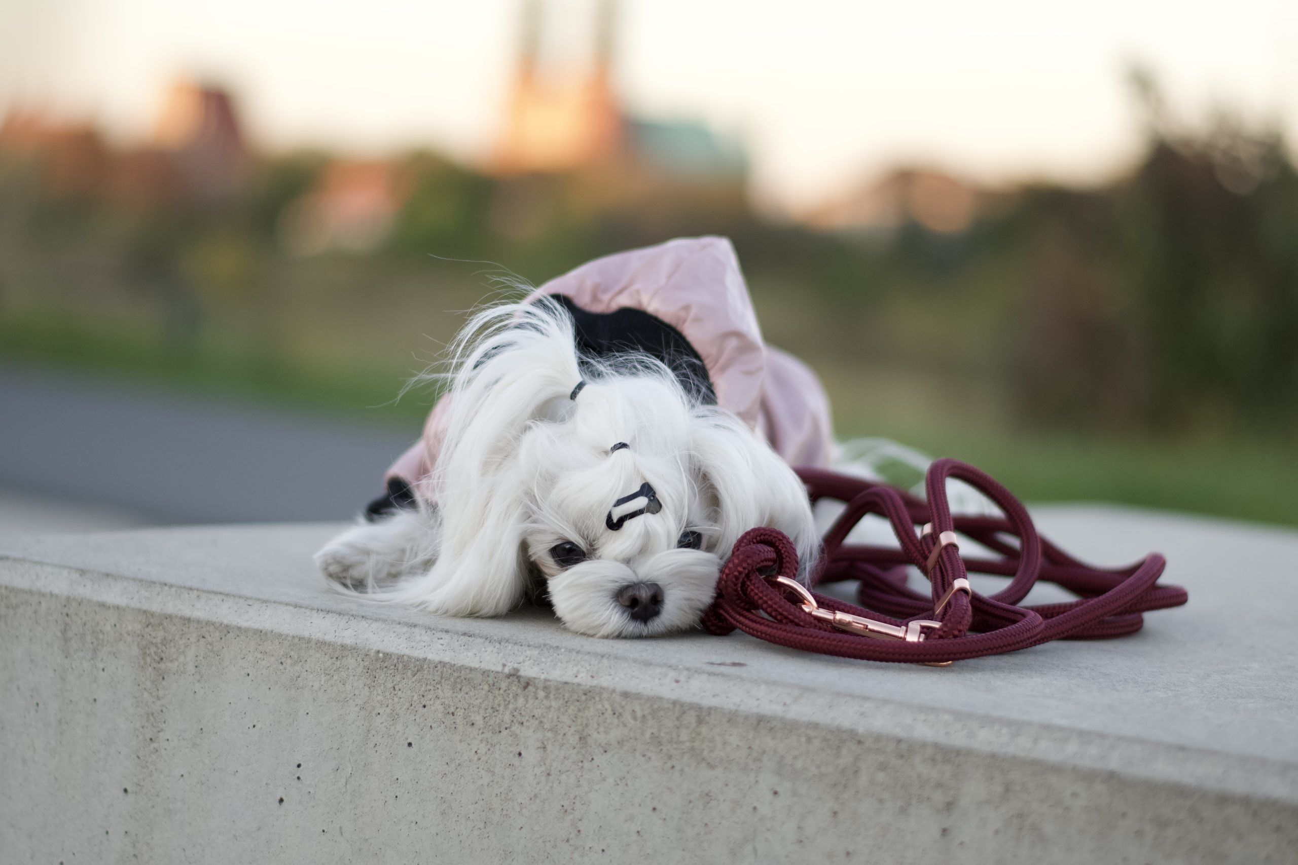 image00051