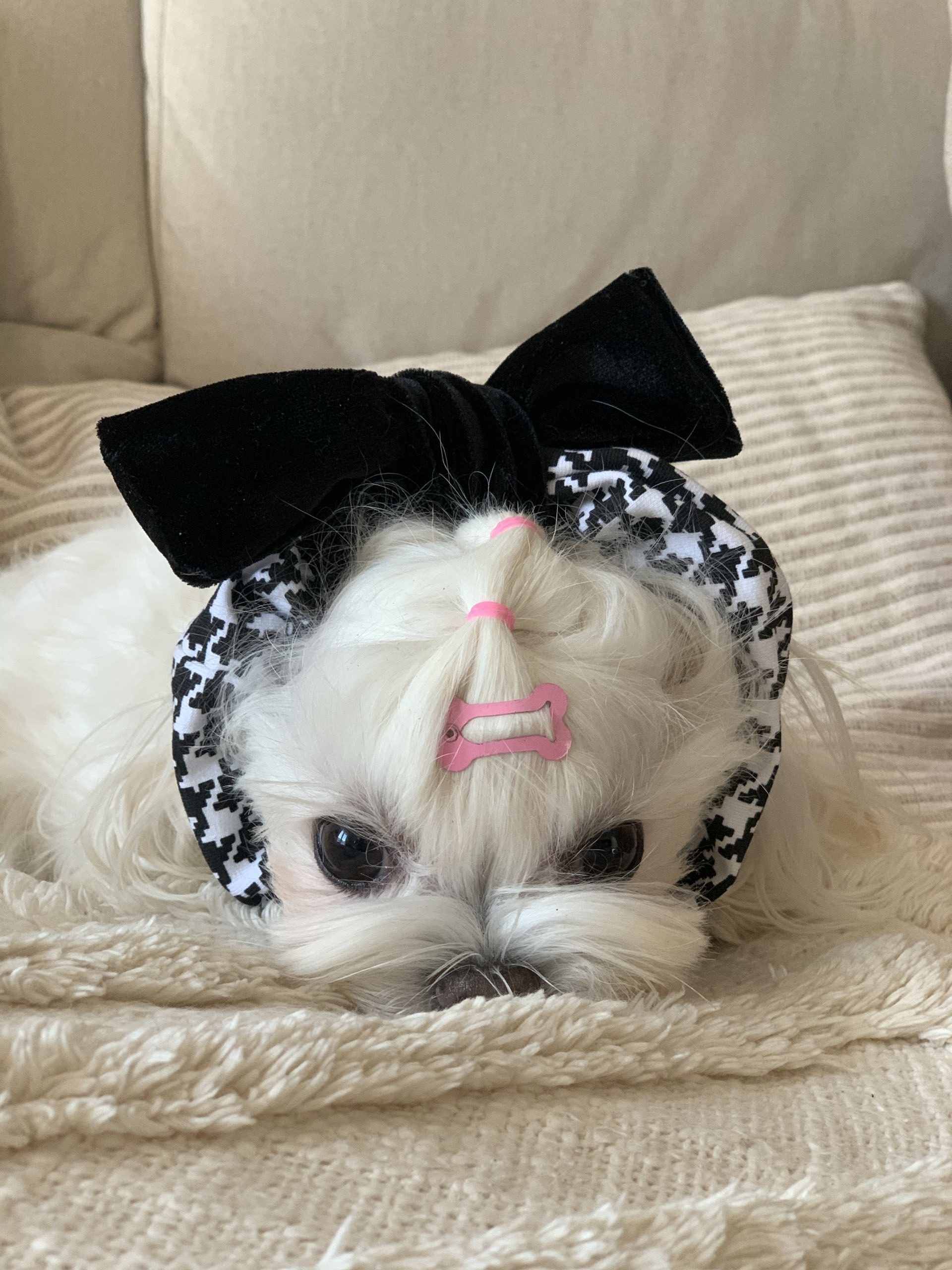 snoody 2