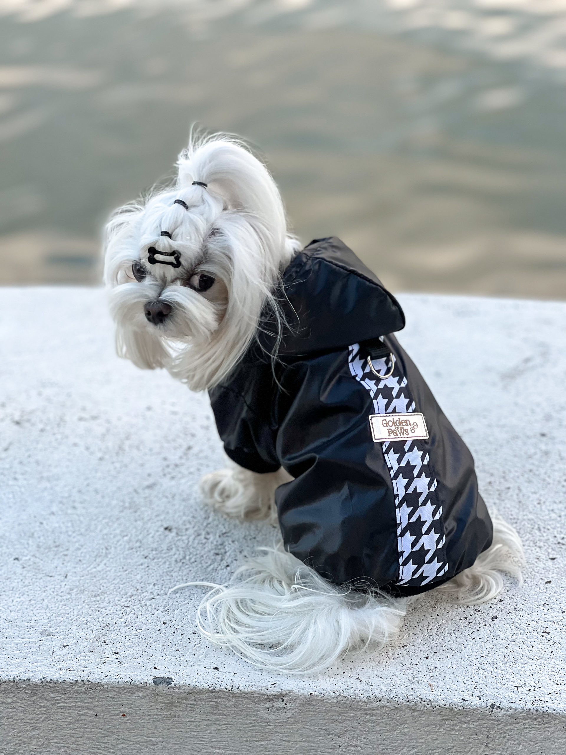 M BL 2