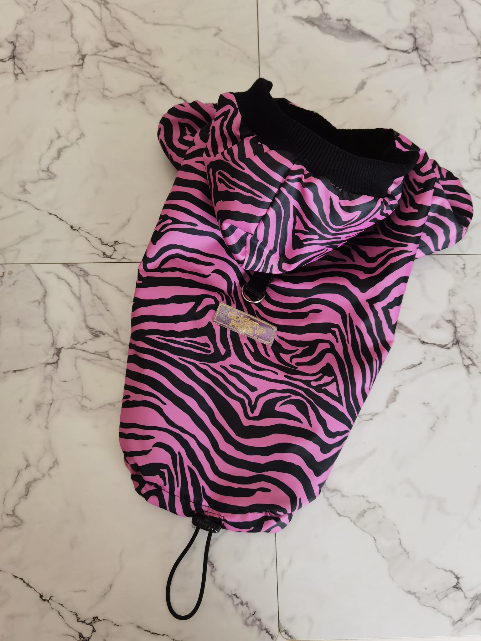 Zebra neon