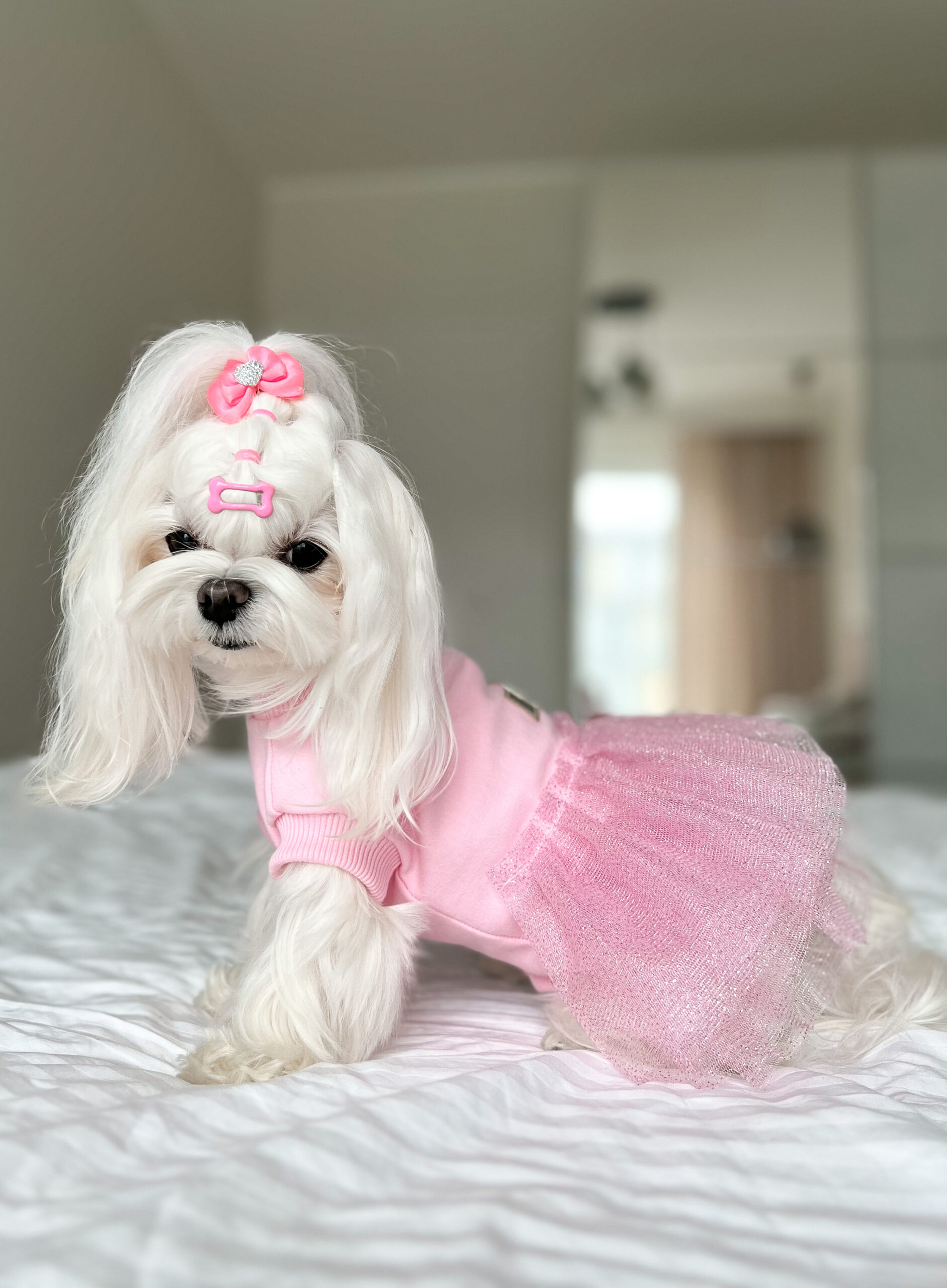 pinksow