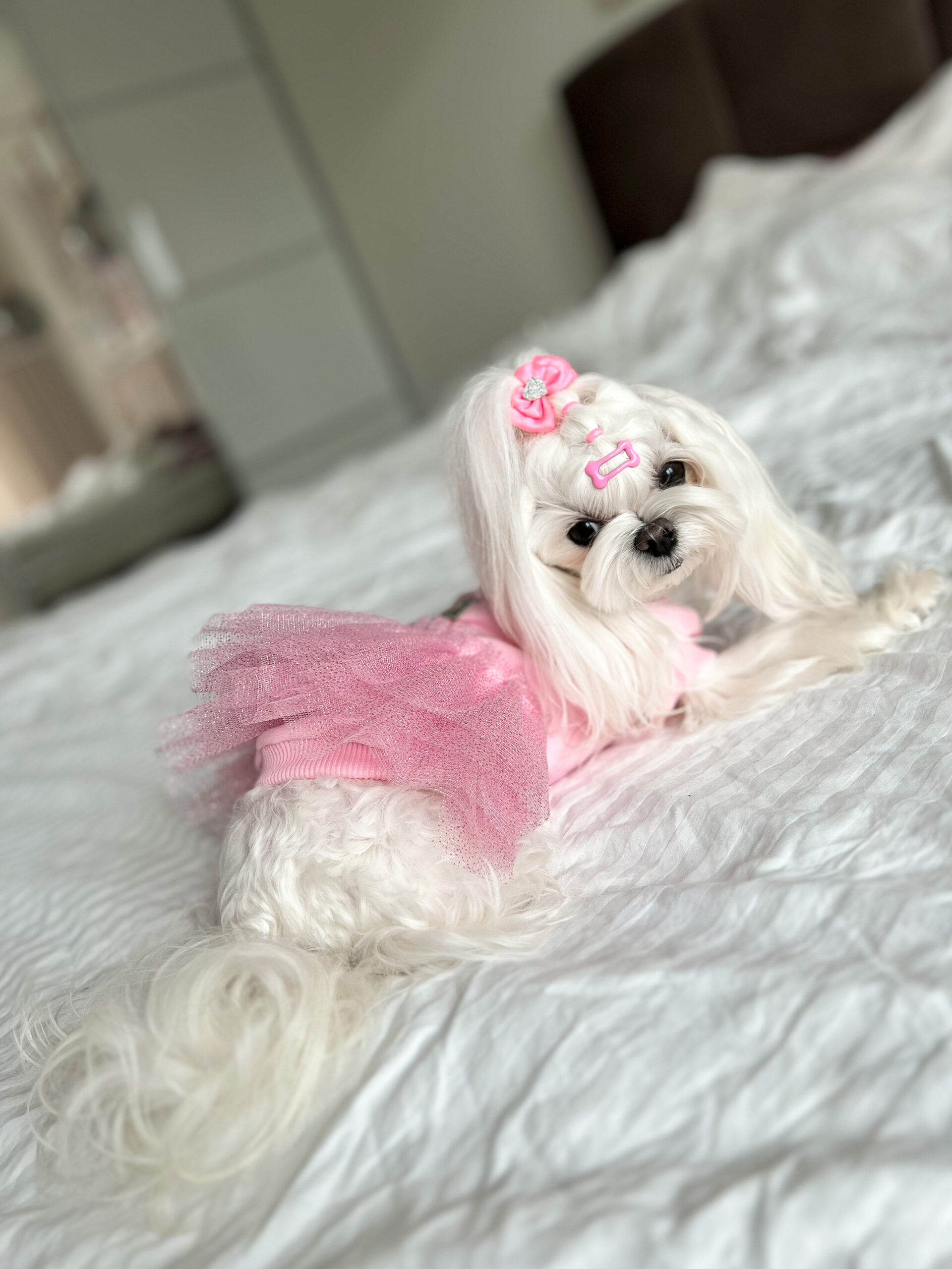 pinkssos