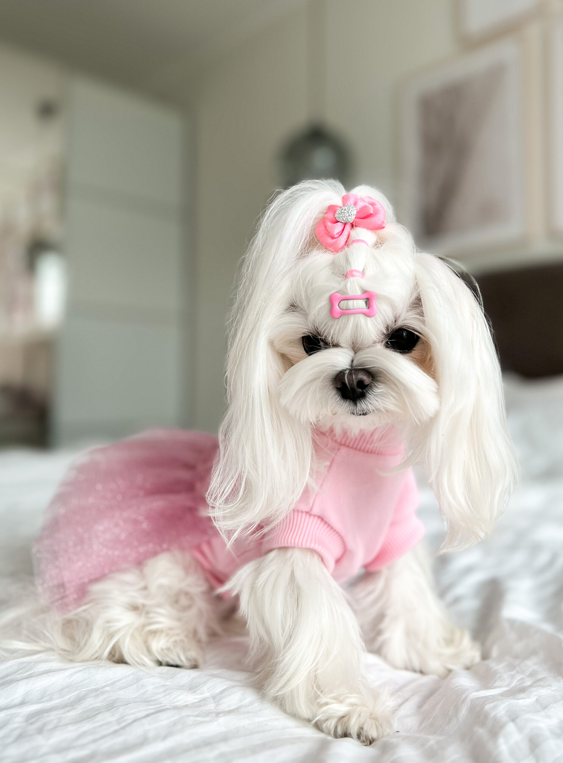 pinkssss