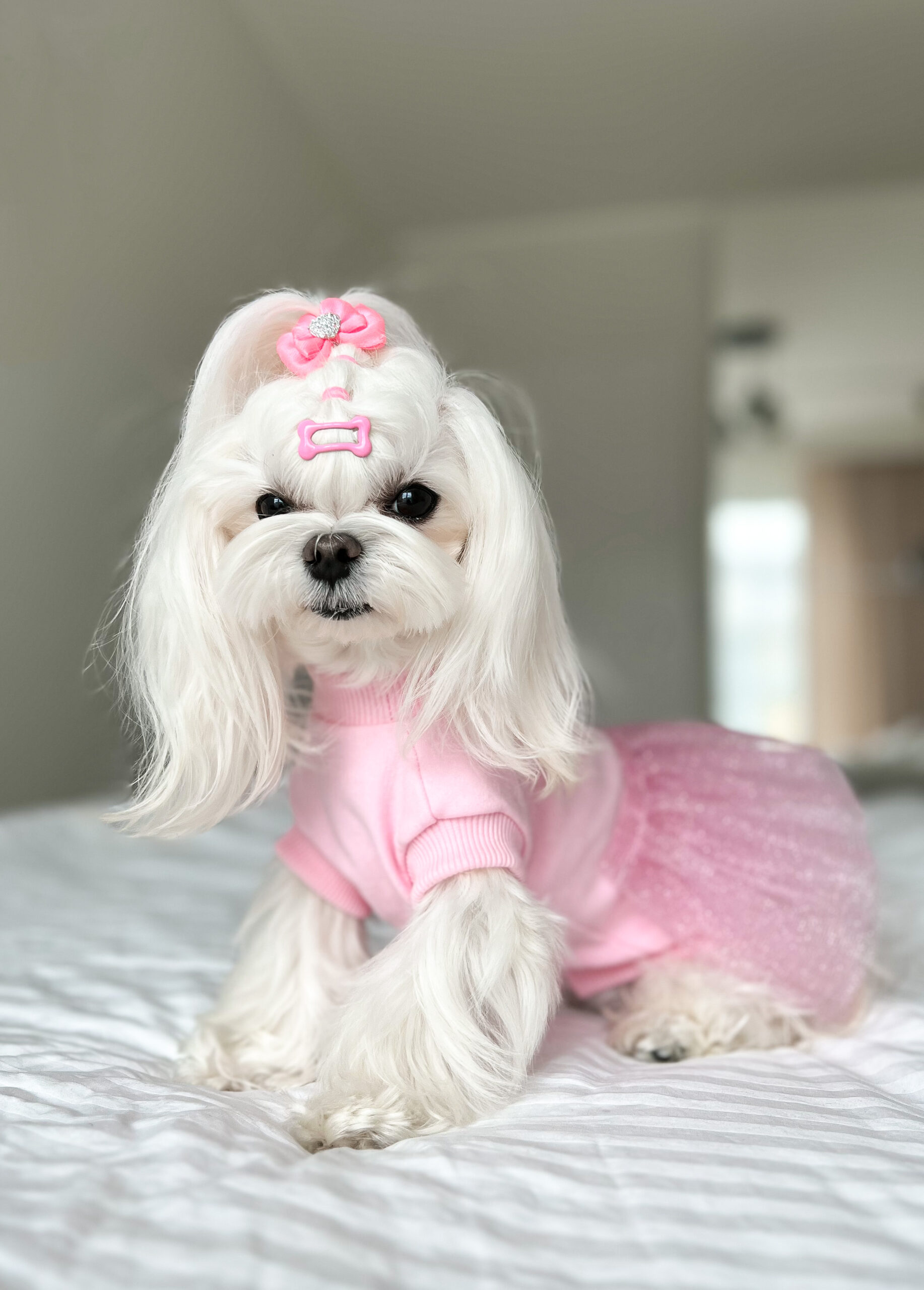 pinky