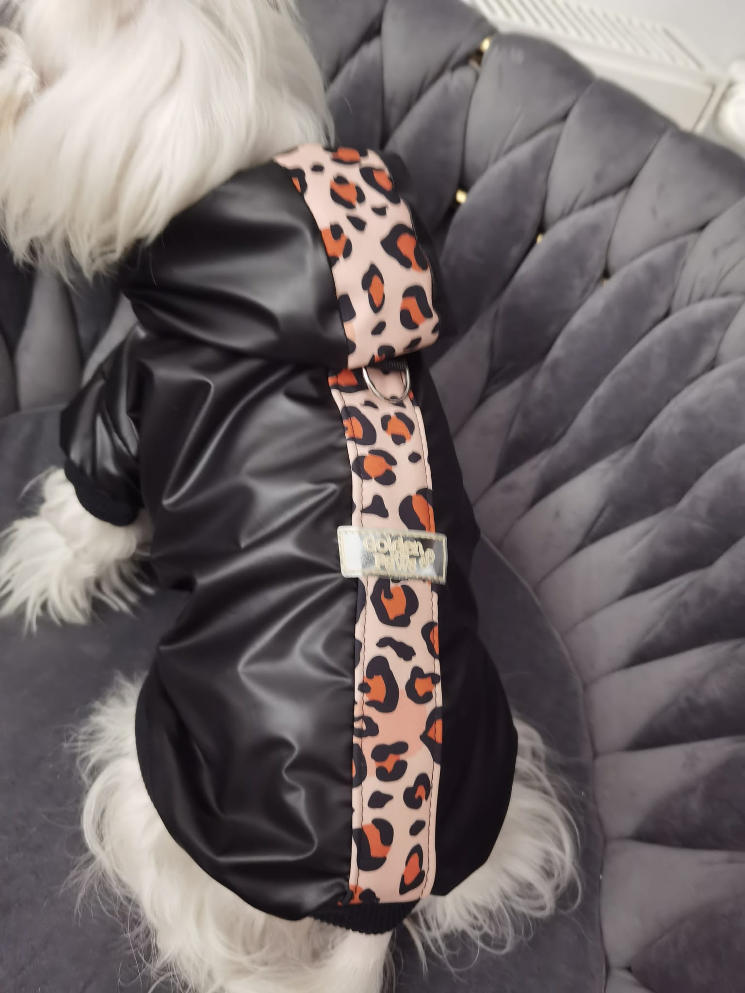 Pantherka 1