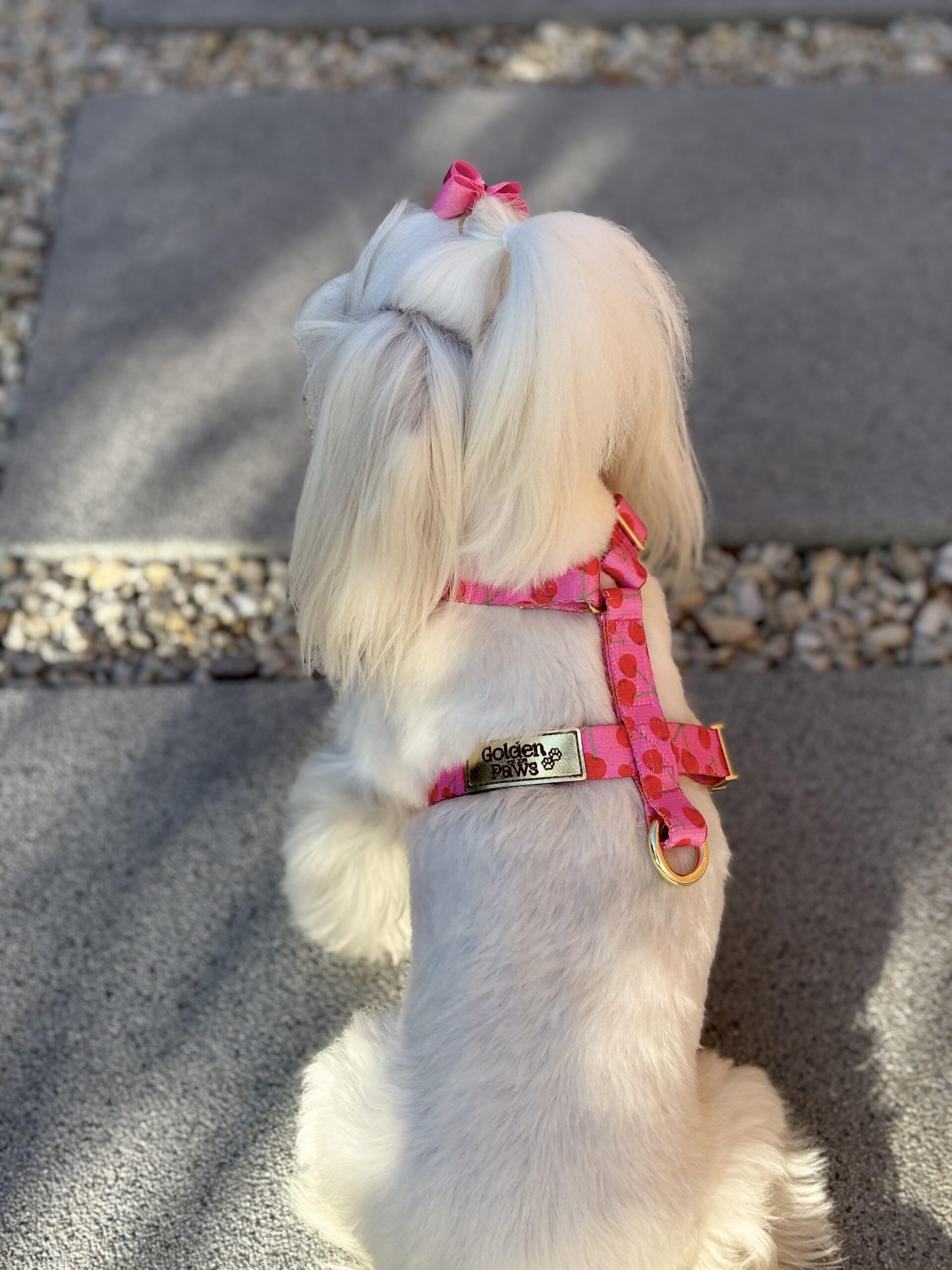 Pinko
